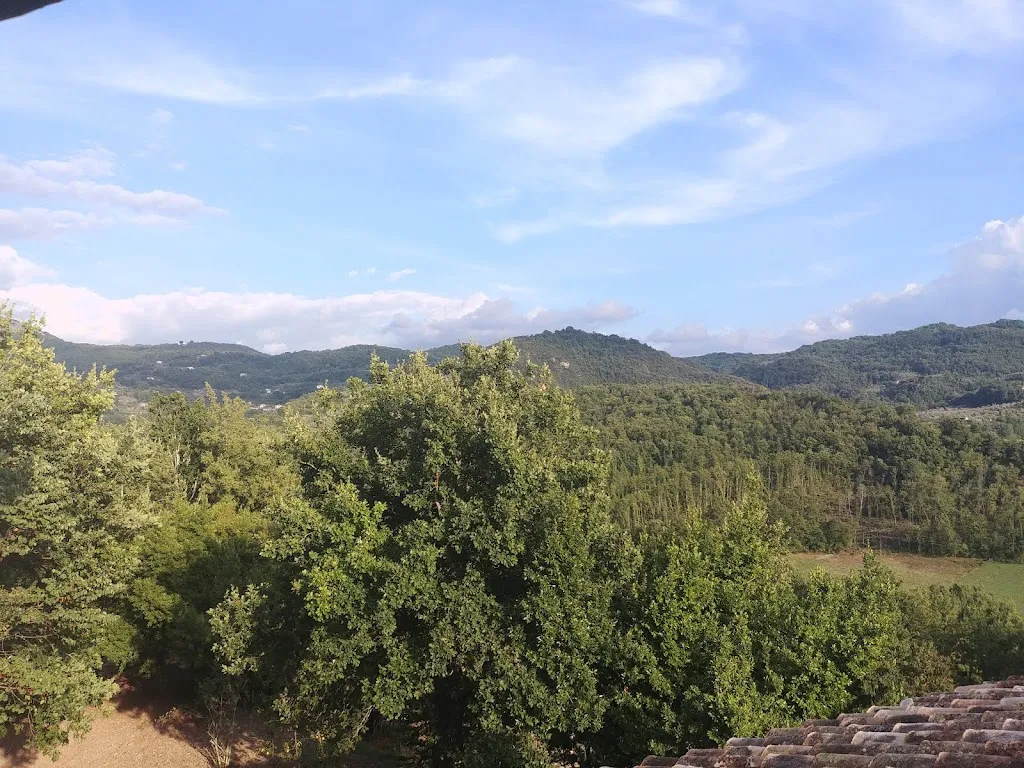 marco mucchi_Tenuta La Fagiana_Arpino_review