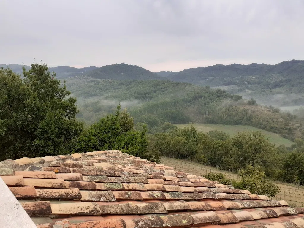 Tenuta La Fagiana_Arpino_slider_image_3