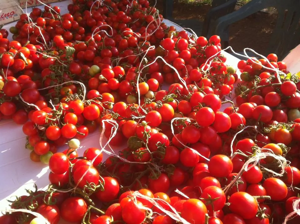 Menu_Agriturismo Le Coccinelle_Giuliano Teatino_immagine_6