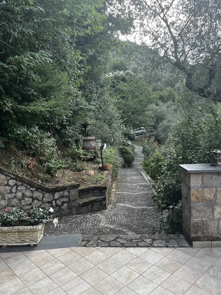 Raine Waters_Il Casale del Mirto_Arola-Preazzano_review