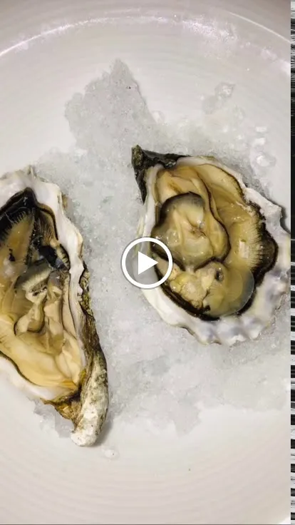 Ristorante hotel Lucia_Giulianova_slider_image_2