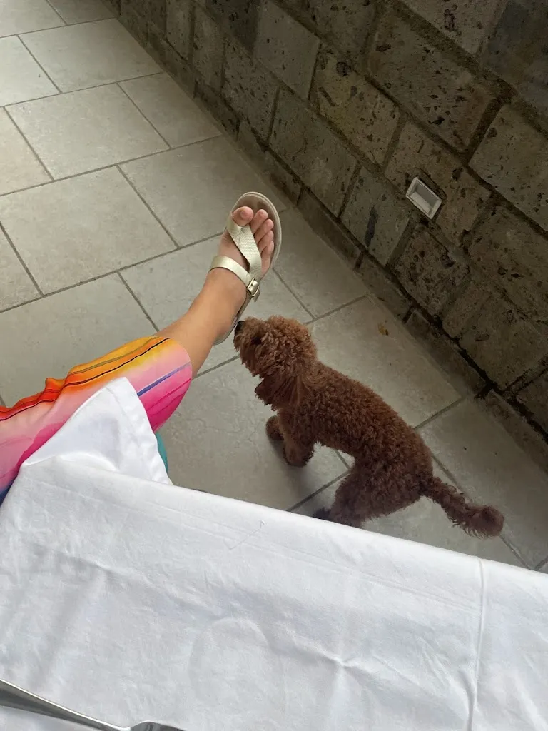 Michael Tillson_Casale Guarracino_Arola-Preazzano_review