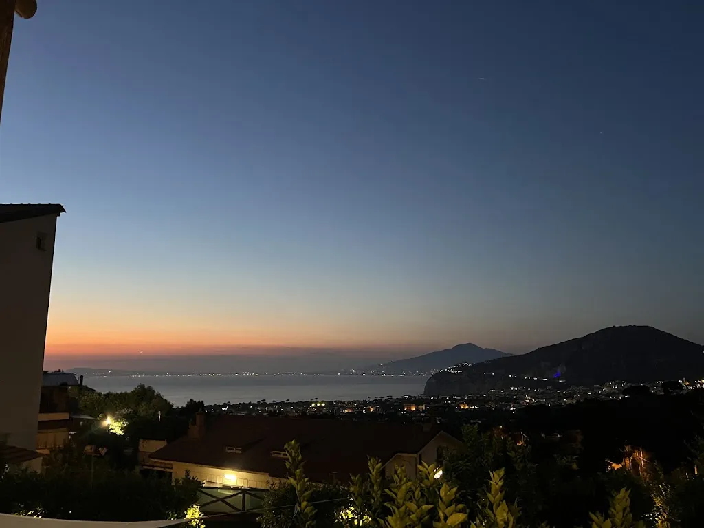 Deesha Thosar_Casale Guarracino_Arola-Preazzano_review