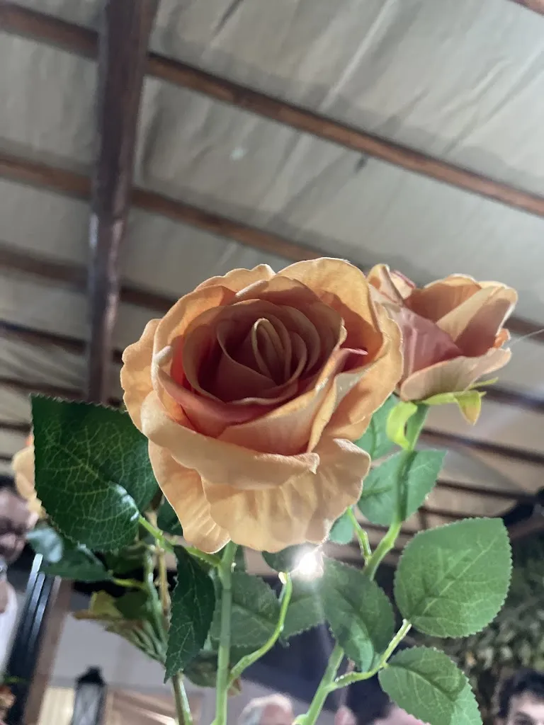 Beatrice Vincenti_Cavaliere dal 1985_Atena Lucana_review