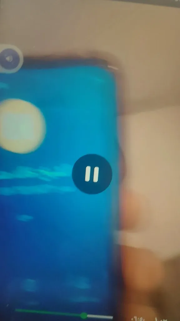 Skran Ahmed_BAR PIZZERIA 