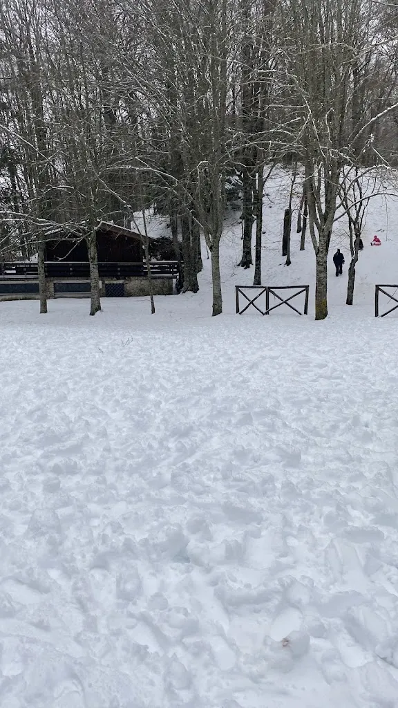 Ristorante il Porcino_Bagnoli Irpino_slider_image_3