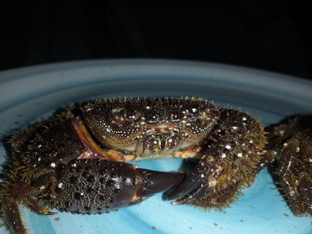 Sottocoperta Taverna di mare_Avvocata_slider_image_3