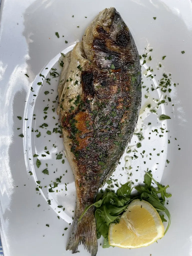 Menu_Trattoria canta napoli_Avvocata_image_6