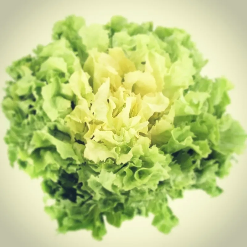 Menu_La Taverna di Santa Chiara_Avvocata_image_6