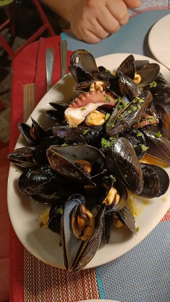 Leila Hill_'A casa r'a' Signora_Avvocata_review