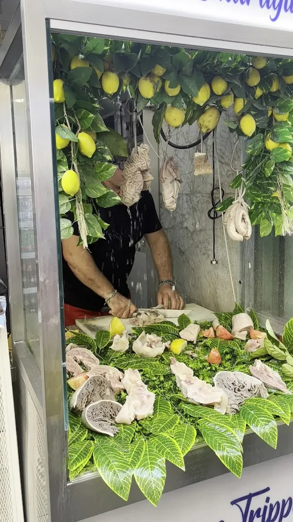 Le Zendraglie_Avvocata_slider_image_2