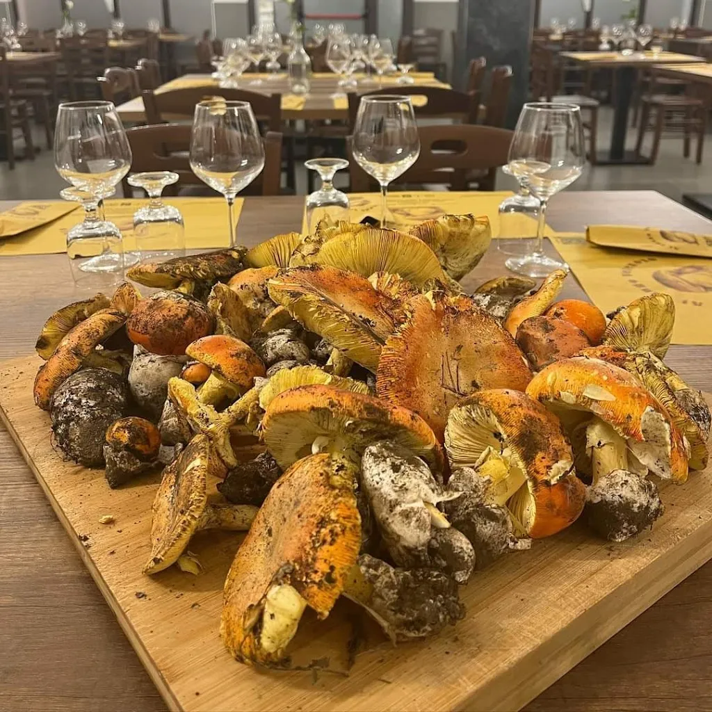 RISTORANTE AL FUNGO VELENOSO DI D`URSO CARMELA_Banzano_slider_image_3