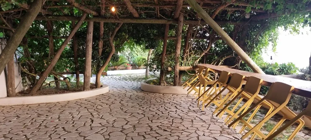 Chelsea Krieger_Baya club_Baia_review