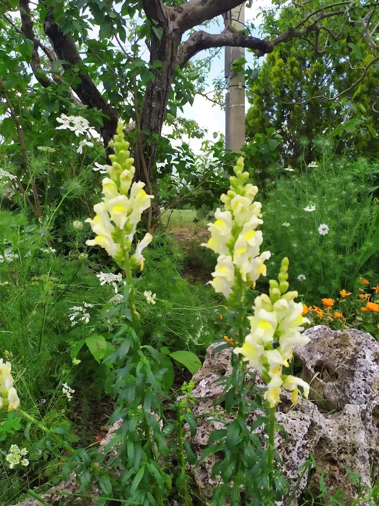 Martino Binetti_Agriturismo Regio Tratturo_Baselice_review