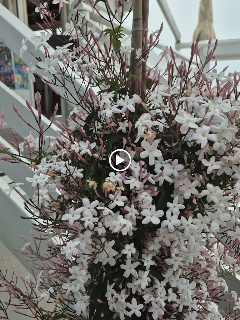 Bar Ristorante Nettuno_Barano d'Ischia_slider_image_2