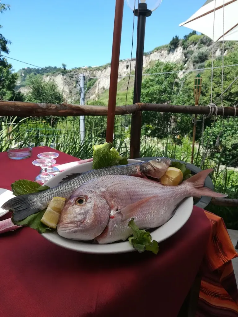 La Cantina di Nitrodi_Barano d'Ischia_slider_image_2