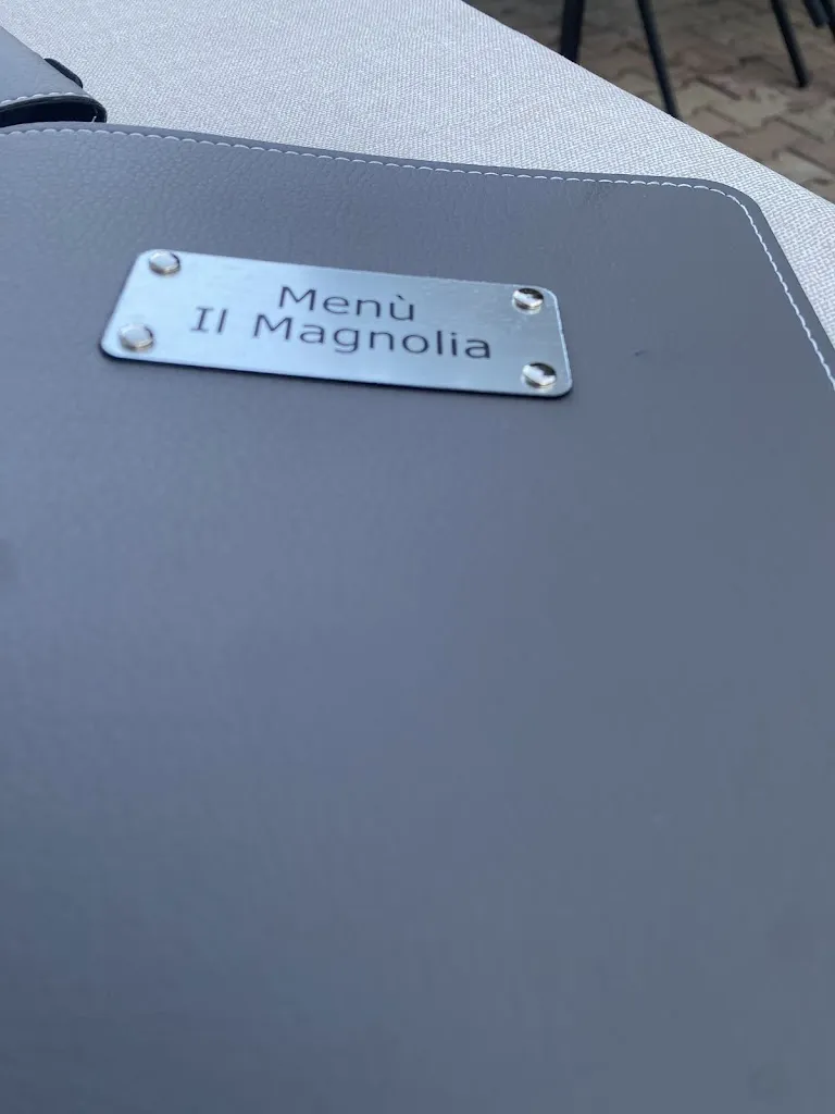 Tiziana Bertolin_Il Magnolia_Francavilla al Mare_recensione