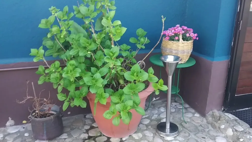 A casa di Dionisio_Beltiglio-San Giovanni_slider_image_2