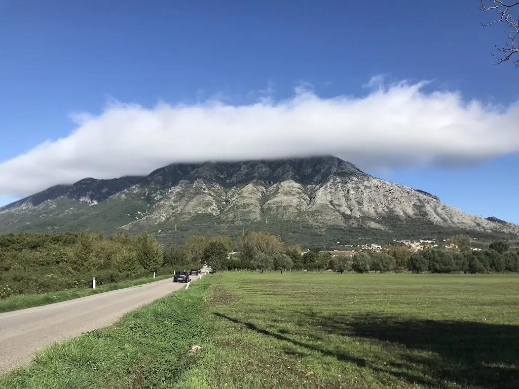 Bonea_Bonea_slider_image_1