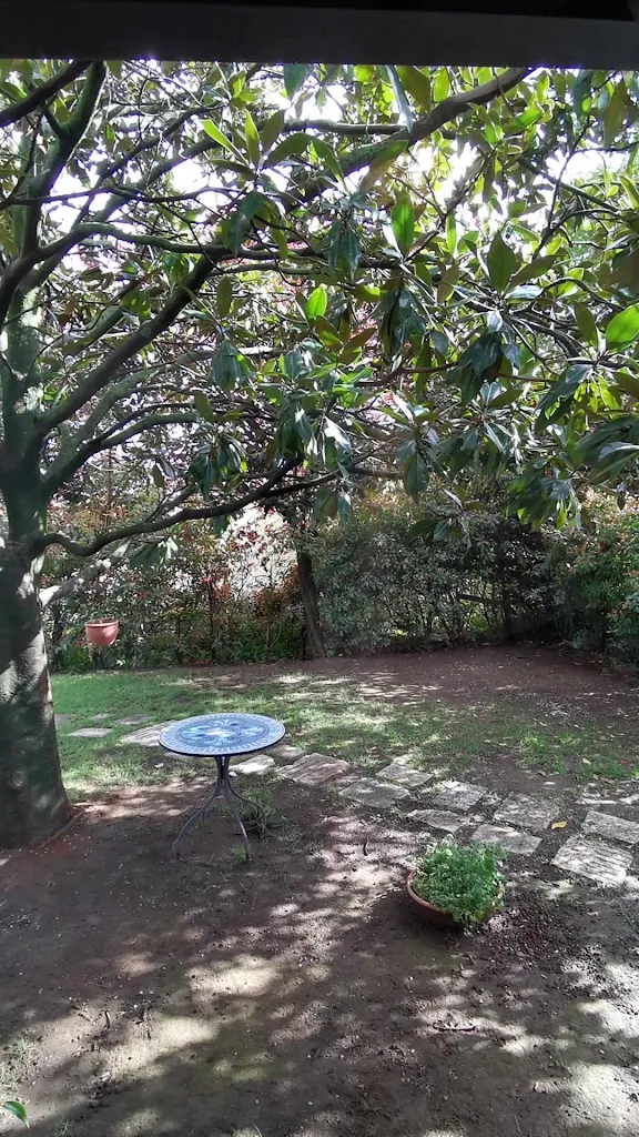 La Falanghina_Bonea_slider_image_2