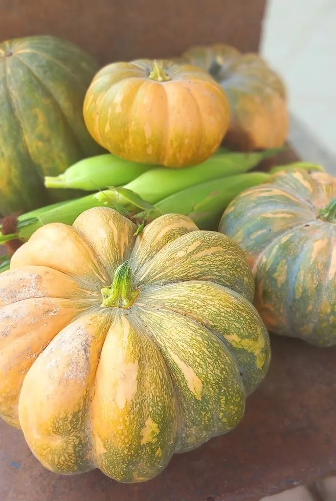 Menu_Ristorante Rustico Dracula_Bivio Santa Cecilia_image_9