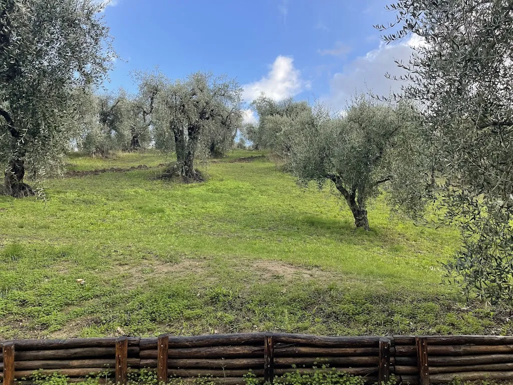 Fiaba dei Sapori_Buccino_slider_image_3