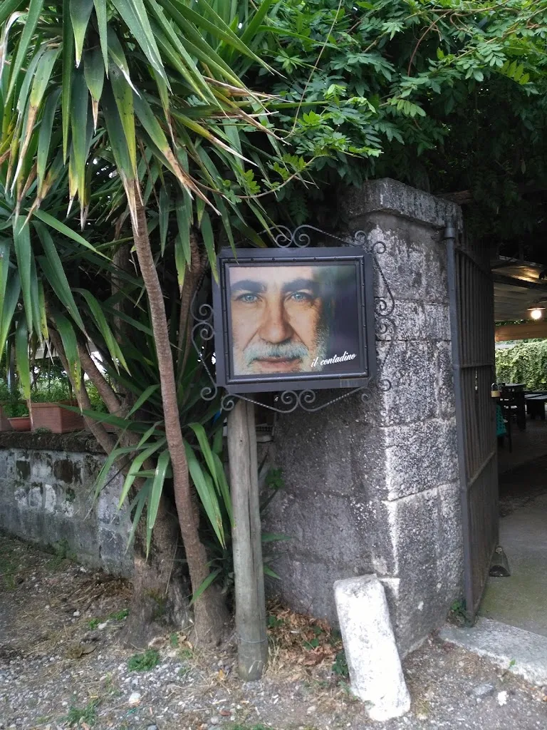 Crenguta Popescu_Agriturismo Il Contadino di Berardino Lombardo_Caianello_review