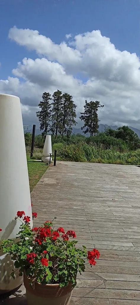 i Cacciagalli - Wine Resort_Caianello_slider_image_2