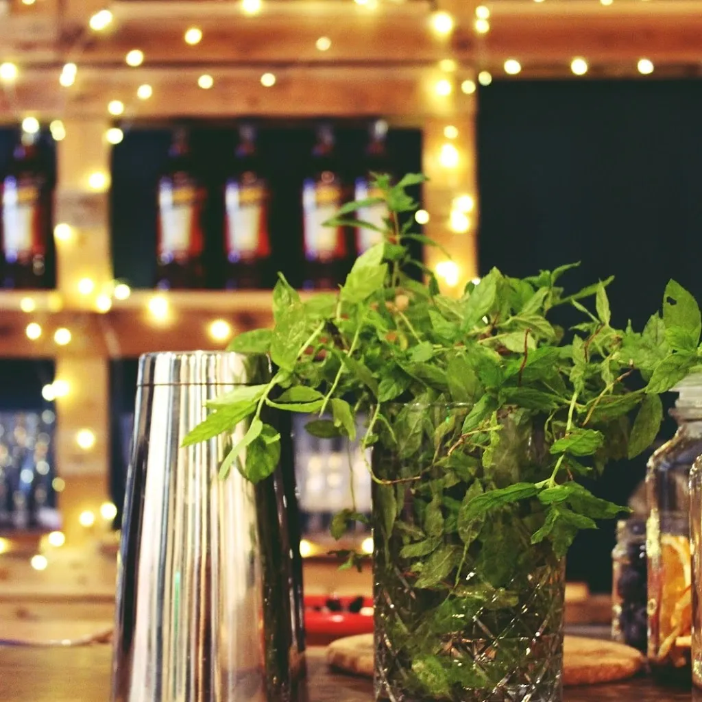 TAMAN Sorsi & Morsi_Camigliano_slider_image_3