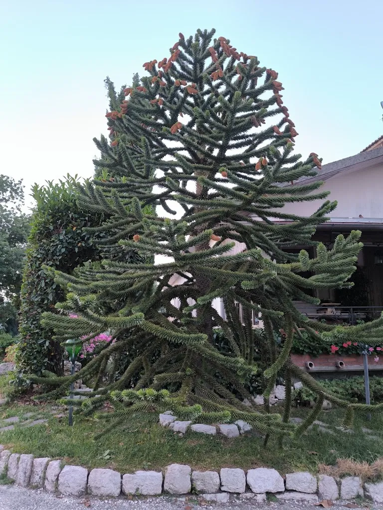 annamaria iovine_La Serra Del Taburno_Campoli del Monte Taburno_review