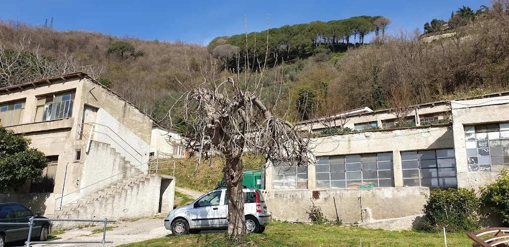 Azienda Agricola Certini ristorante a Capezzano Inferiore