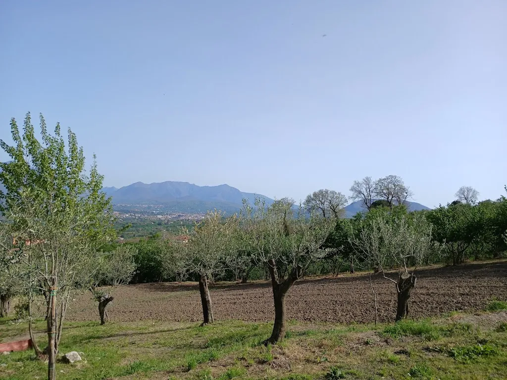 Dario Melchiorre_Agriturismo Tenuta Belvedere_Capriglia_review