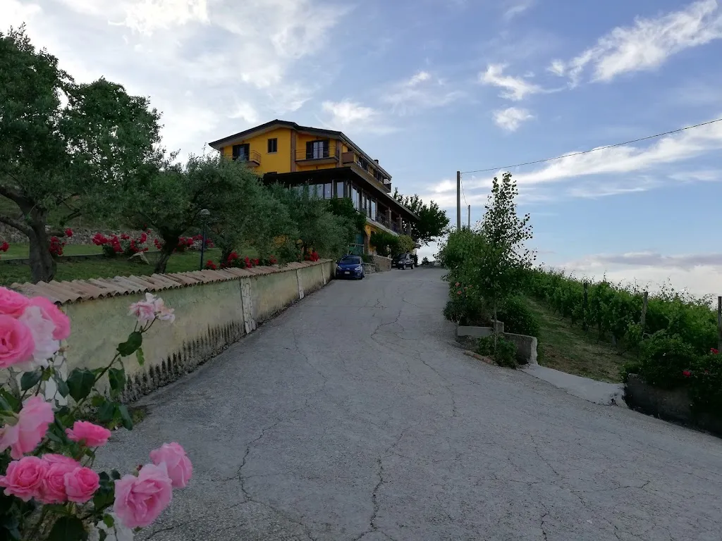 Agriturismo Tenuta Belvedere_Capriglia_slider_image_1