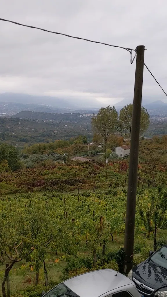 Agriturismo Tenuta Belvedere_Capriglia_slider_image_2