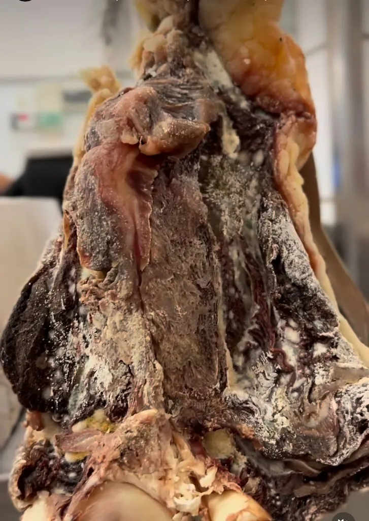 Menu_Ex Novo Restaurant & Drink_Capaccio_image_6