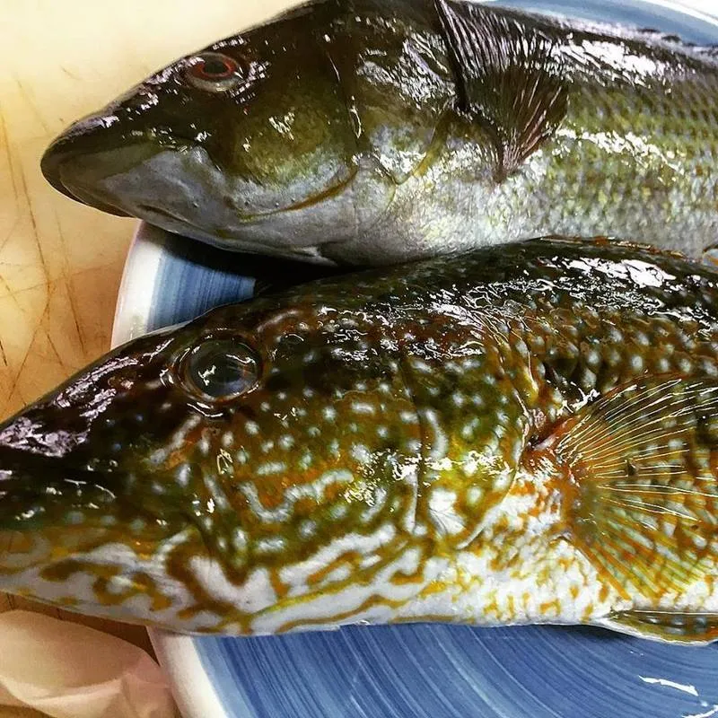 Menu_Ristorante Brezza Marina_Capaccio_image_3