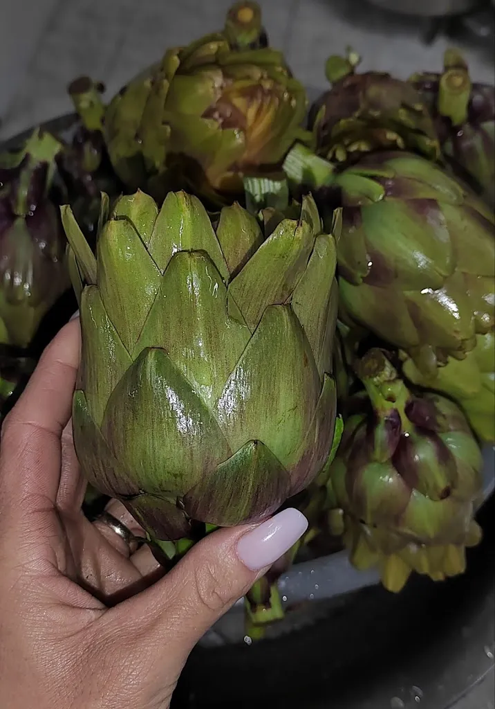 Menu_Trattoria Aniello al Pagliariello'_Capua_image_7