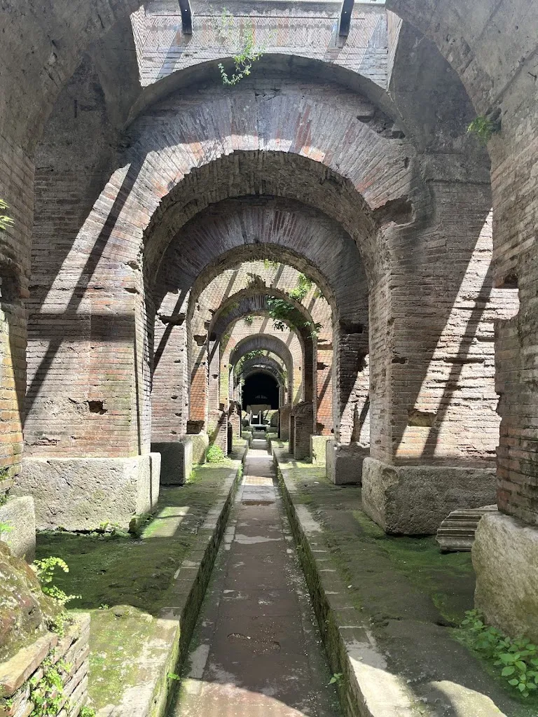 Heather Ingram_Amico Bio Spartacus Arena_Capua_review