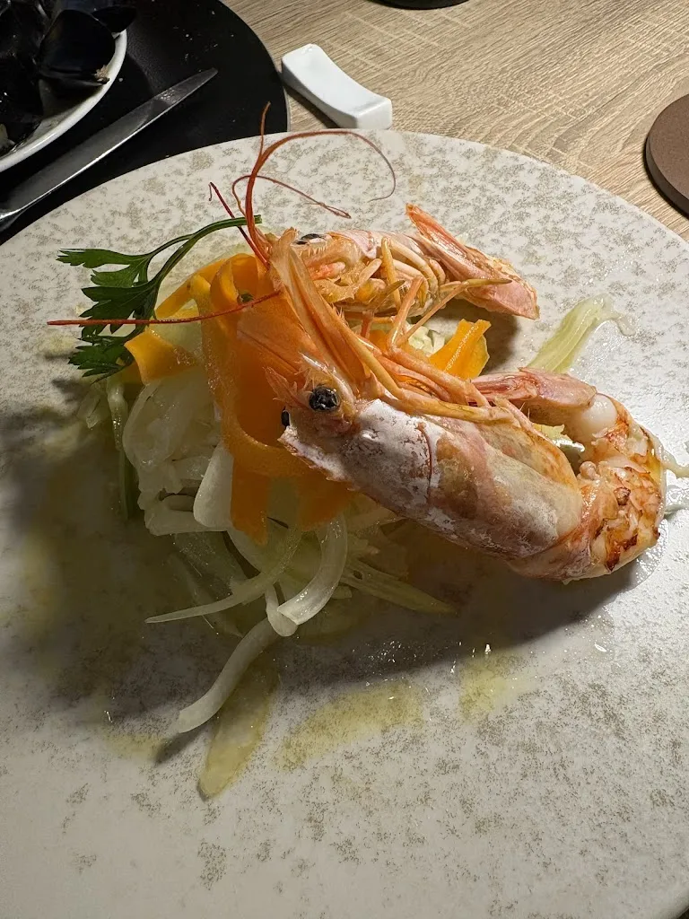 Gianfranco Bonavita_Hosté_Capua_review