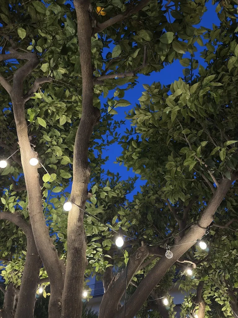 Saall_Lepore & Farine_Capua_review