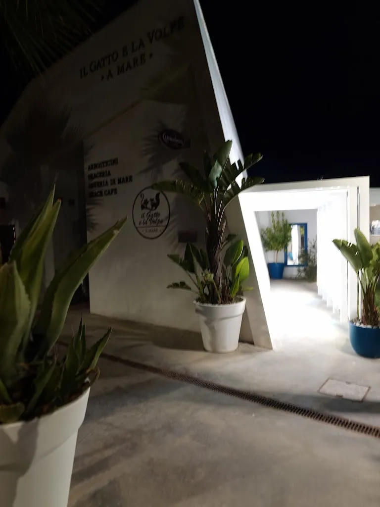 Pelino Colaiacovo_Il Gatto e la Volpe a Mare_Francavilla al Mare_recensione