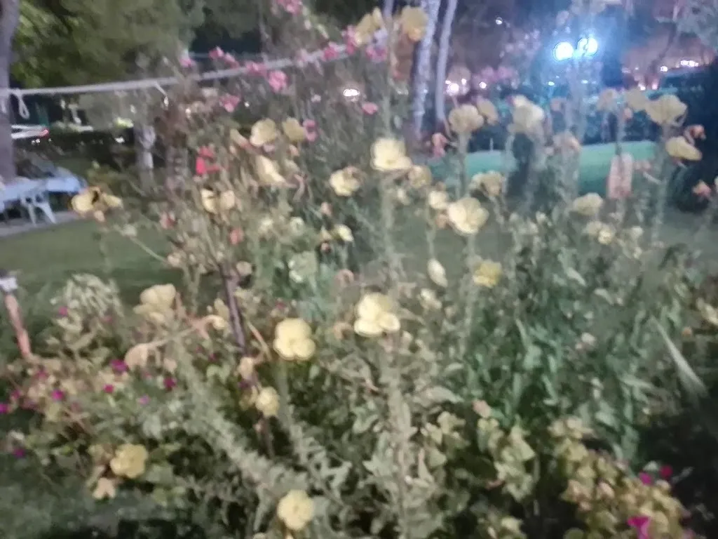 Anna .Gualdieri_Il Rifugio Di Diana_Francavilla al Mare_review