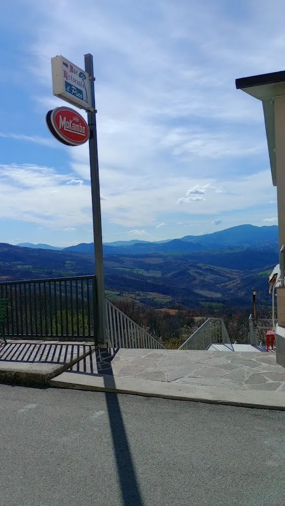 Eli Mejías_Il Pino_Guilmi_review