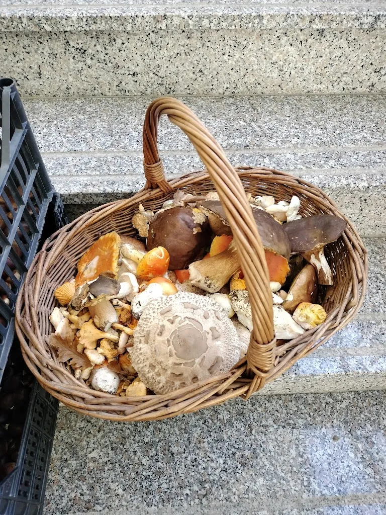 Menu_Osteria al Solito Posto_Casaletto Spartano_immagine_9