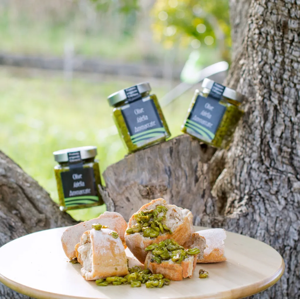 Menü_Voglie Cilentane, prodotti e cucina Cilentana._Casal Velino_Bild_1