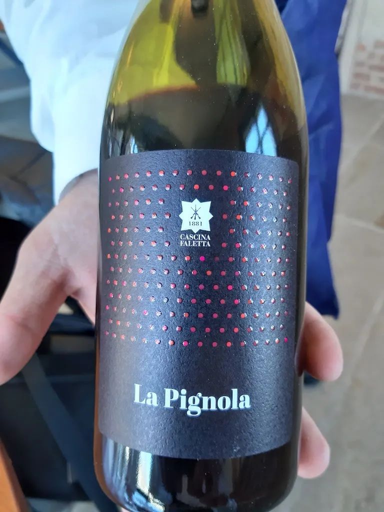 Menu_Cascina Faletta - Ristorante - B&B - Wine Tasting_Casale_image_7