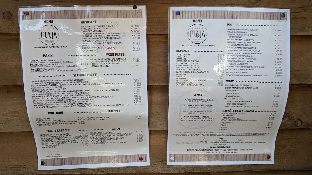 Menu_BoscoPlaja - Agriturismo Fattorie Pingue_Introdacqua_image_1