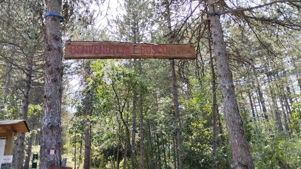 cyber moralizzatore_BoscoPlaja - Agriturismo Fattorie Pingue_Introdacqua_review