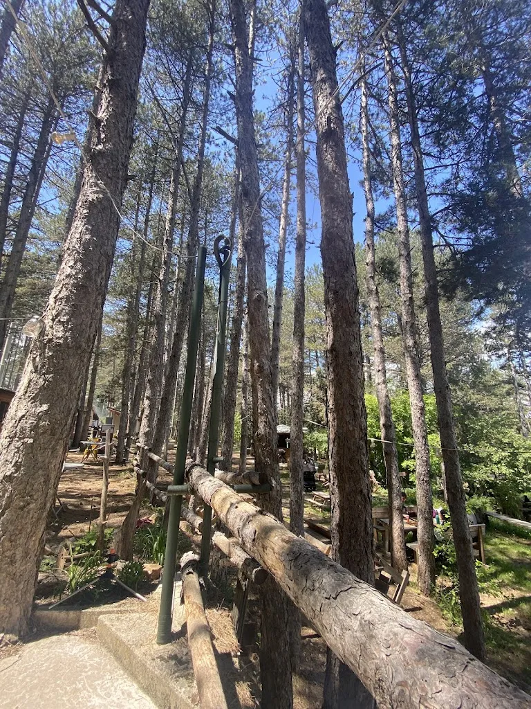 Francesca Fernandez_BoscoPlaja - Agriturismo Fattorie Pingue_Introdacqua_review