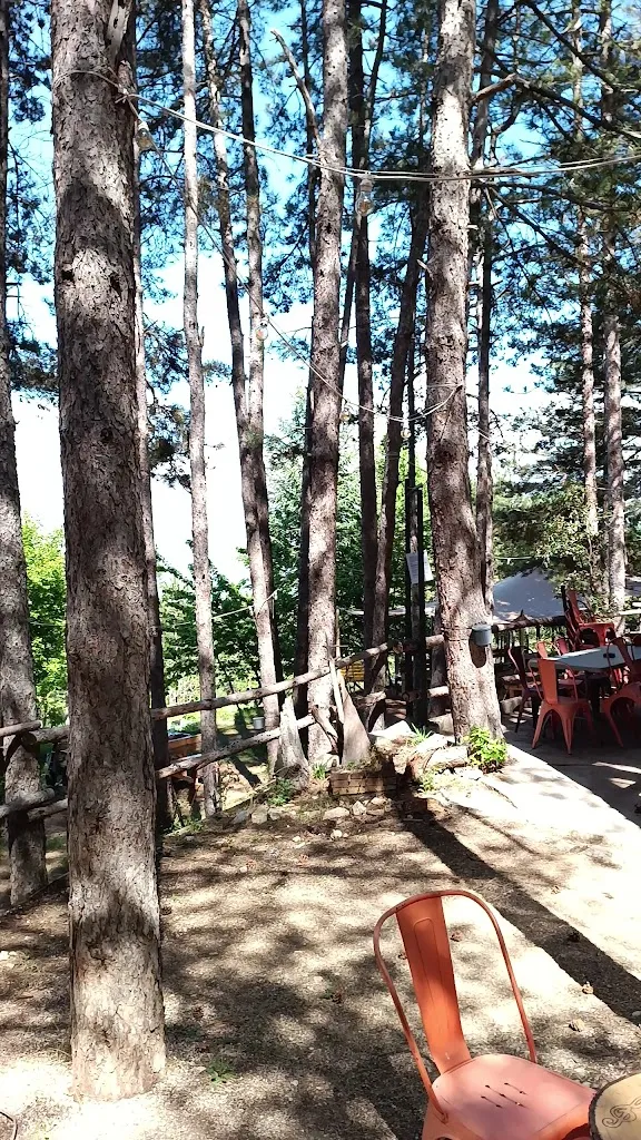 BoscoPlaja - Agriturismo Fattorie Pingue_Introdacqua_slider_image_2